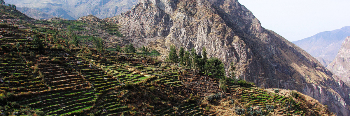 Conventional Cotahuasi Canyon 4 days / 3 nights  in Arequipa
